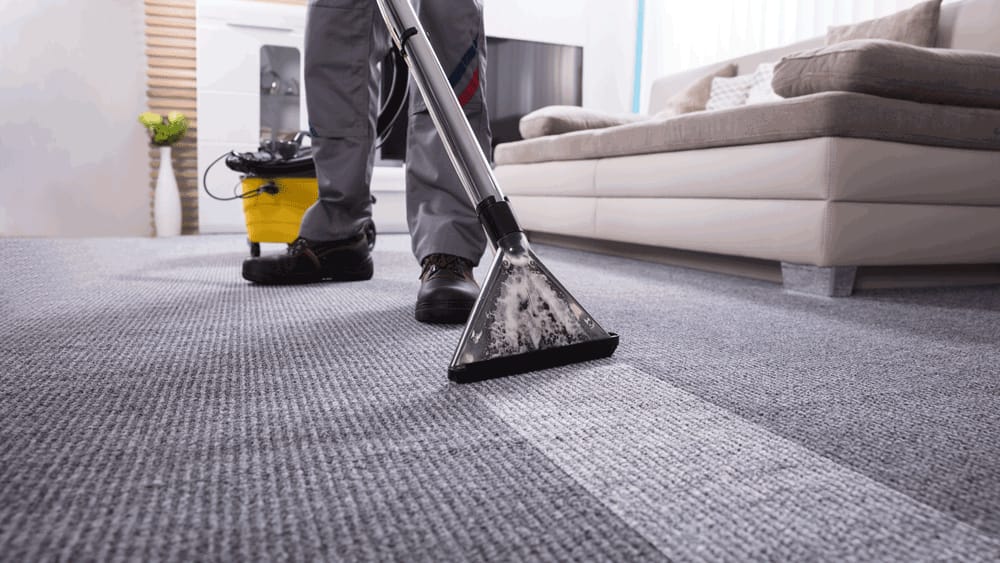 Sofa Cleaning
