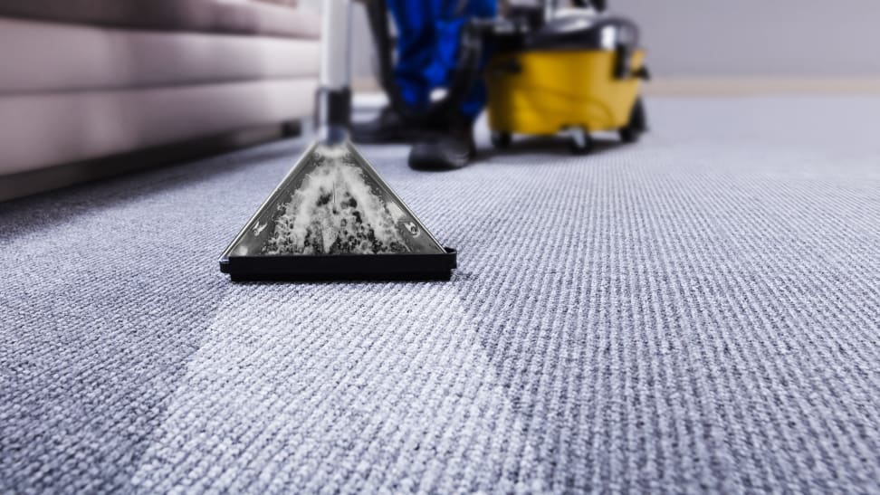 Professional carpet cleaning team